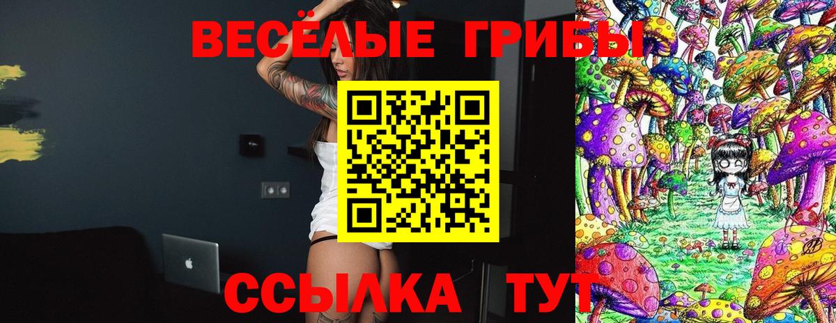 Домодедово  Псилоцибиновые грибы мухоморы  Вход с VPN  Псилоцибиновые грибы мицелий 